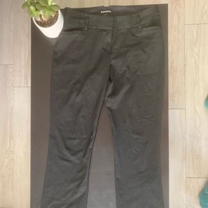 Express dress pant